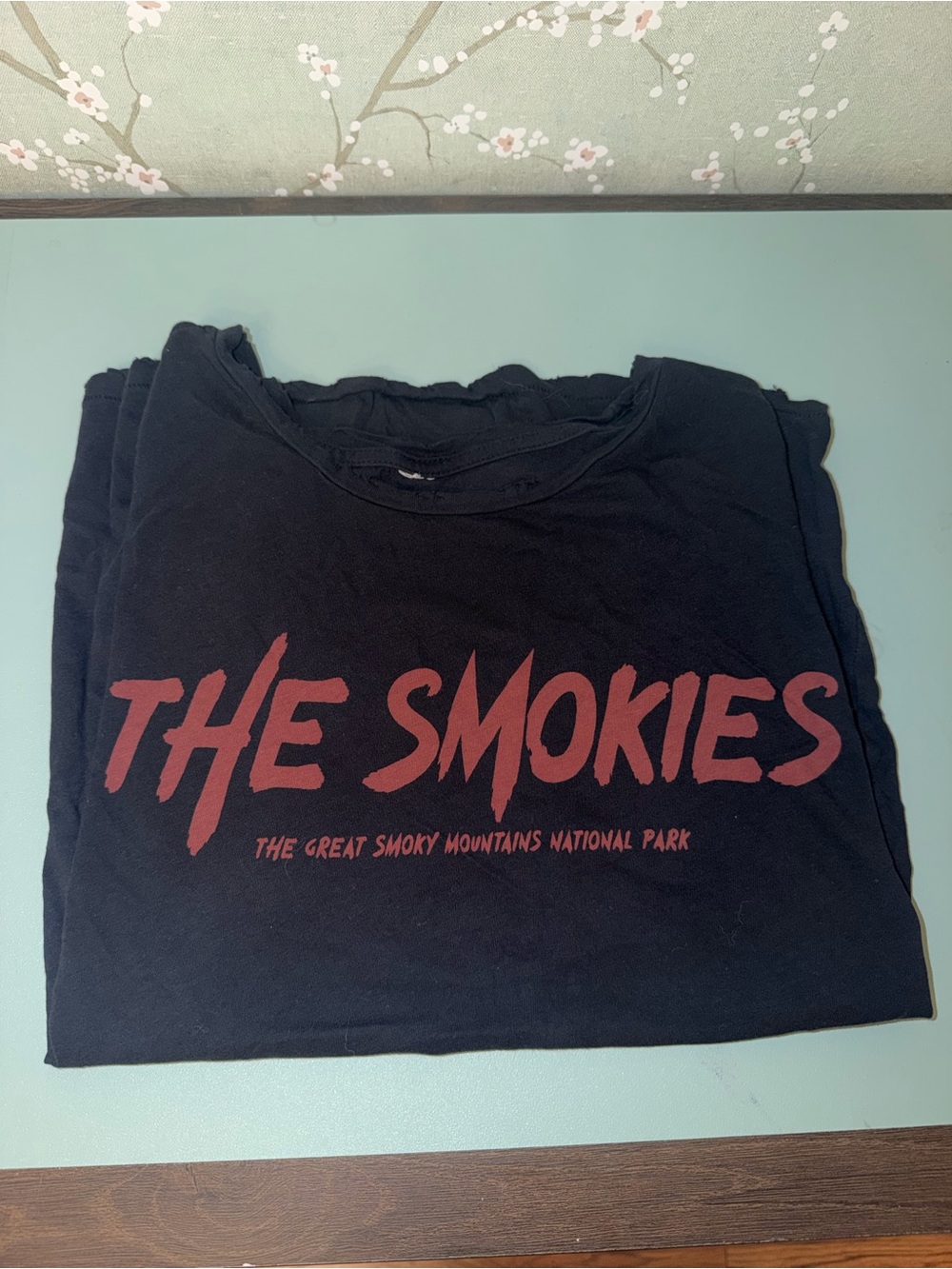 Kids Black The Smokies Graphic Tee with Red Print